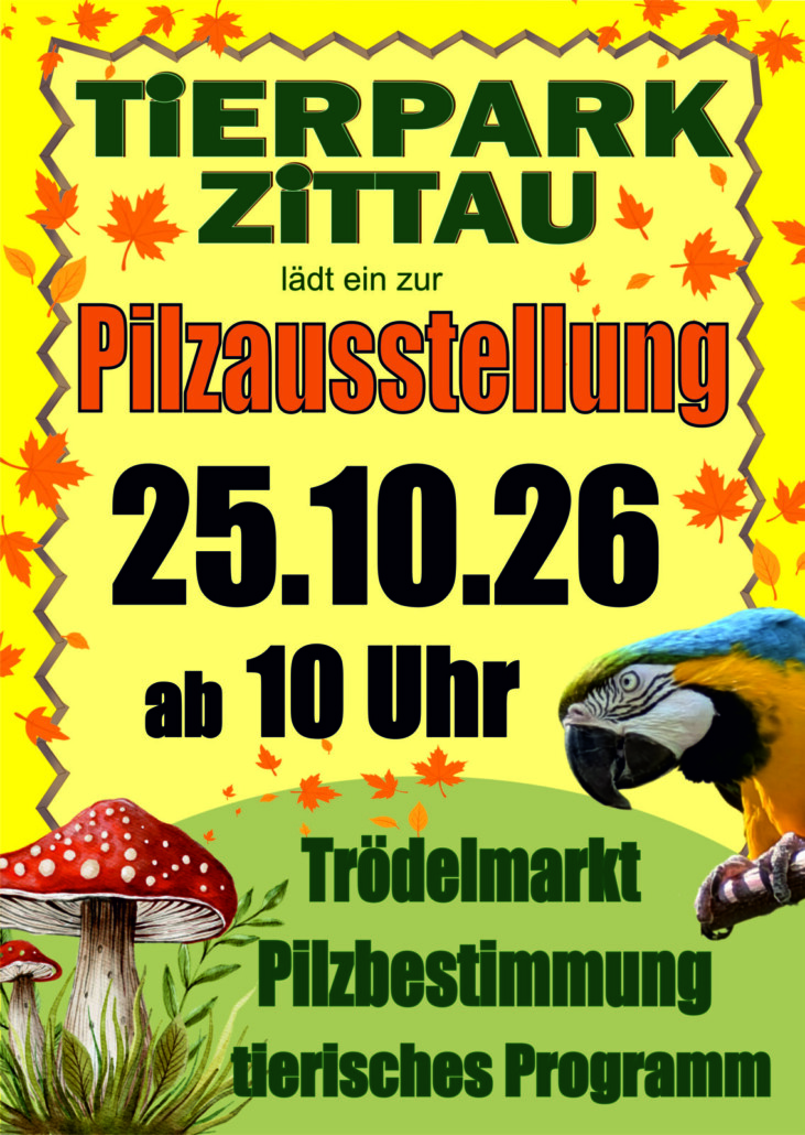 Pilzausstellung 25.10.26